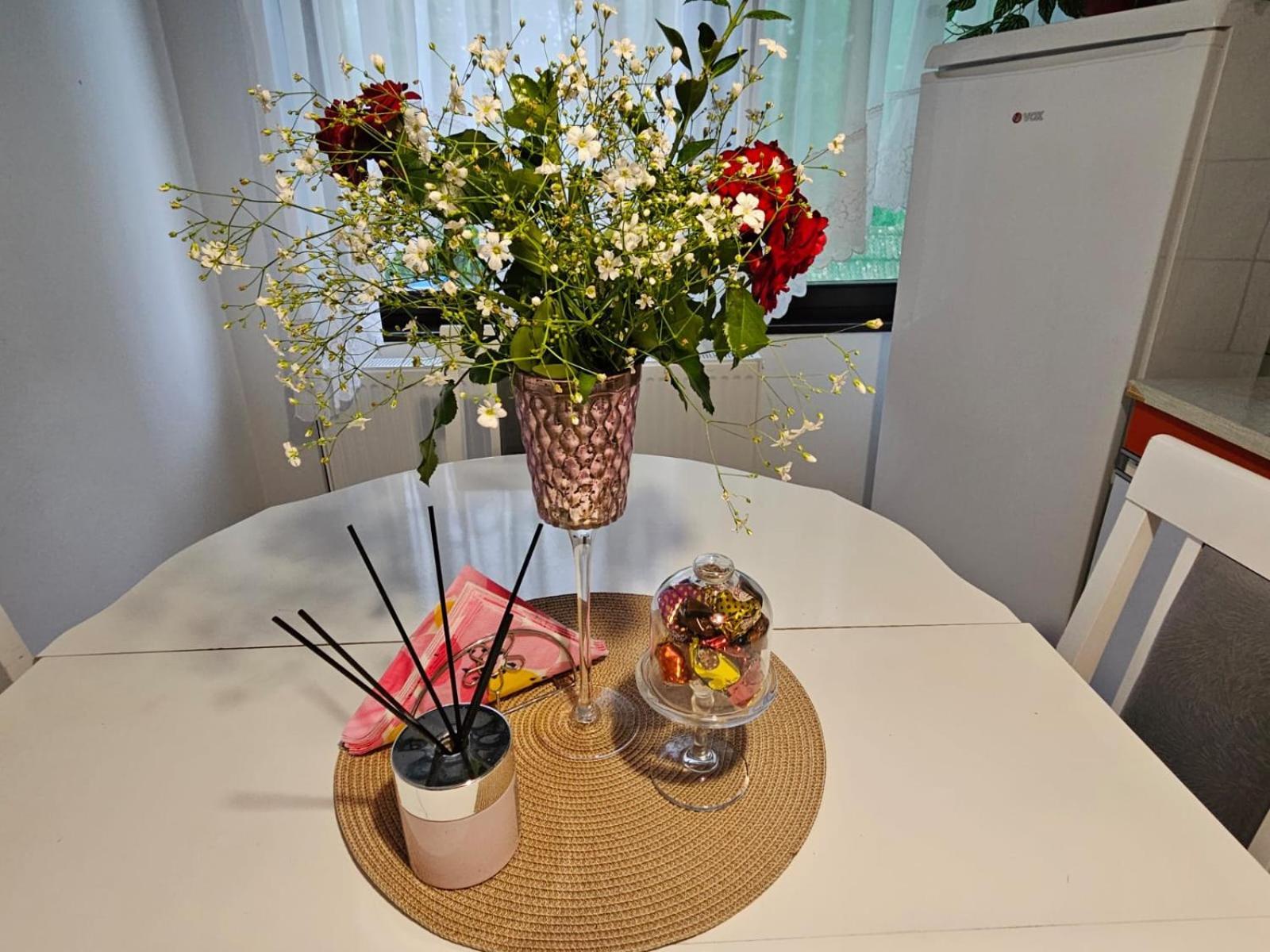 Apartmani, Sobe Ziza Bezdan Eksteriør bilde